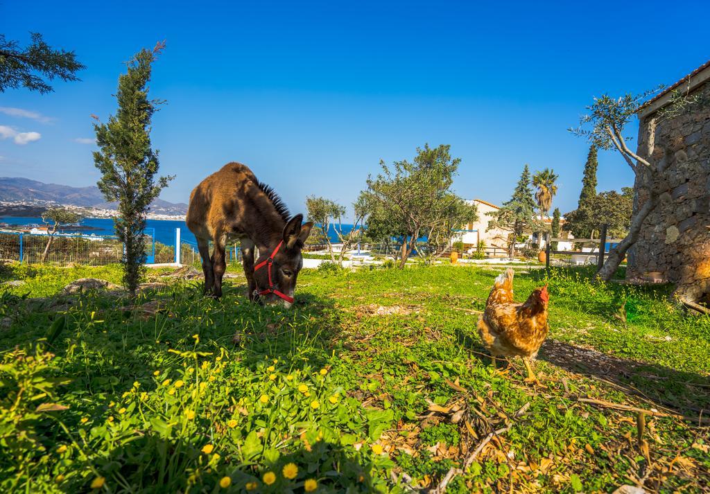 Amoudara  Panorama Villas - Adults Only מראה חיצוני תמונה